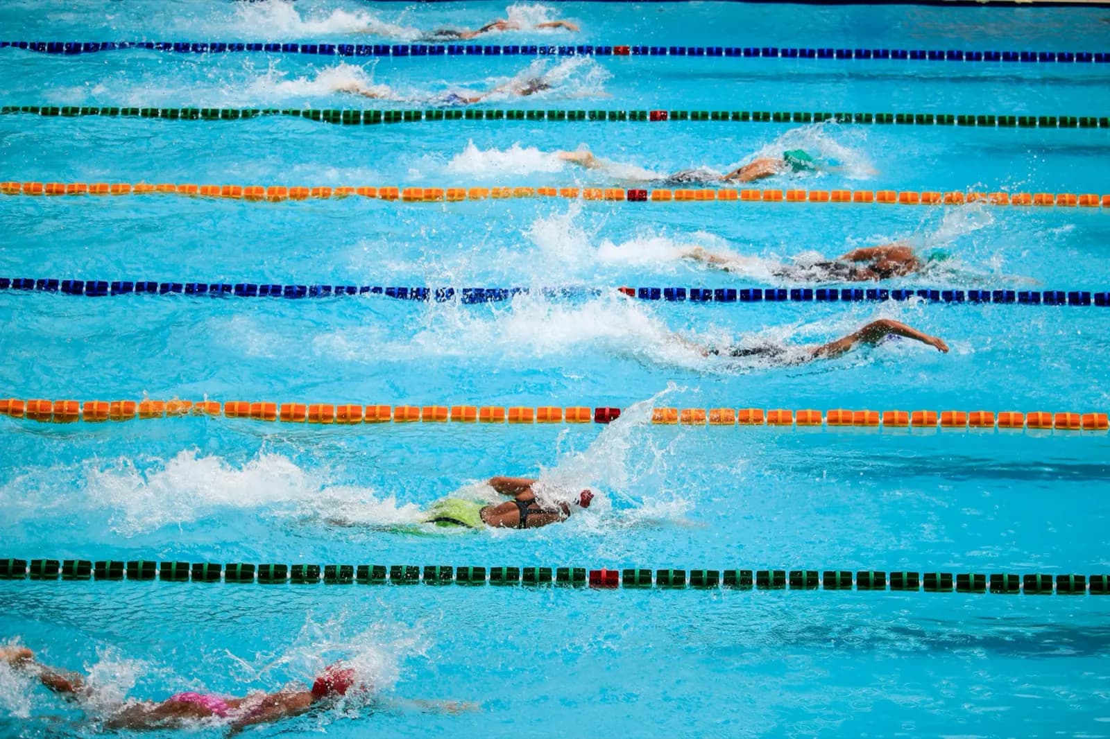 Swimmers racing in marked lanes of a pool